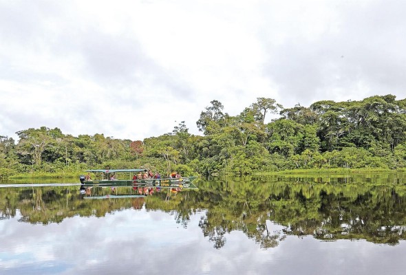 En este espacio de 20.000 hectáreas de selva virgen, los delfines rosados son los reyes En este espacio de 20.000 hectáreas de selva virgen, los delfines rosados son los reyes
