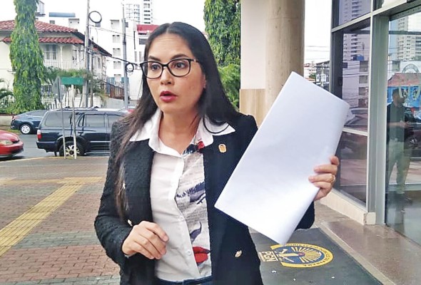 La diputada Rodríguez presentó la denuncia ante la Fiscalía Metropolitana. La diputada Rodríguez presentó la denuncia ante la Fiscalía Metropolitana.