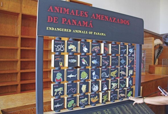 'Extinción', la nueva exhibición itinerante del Biomuseo 'Extinción', la nueva exhibición itinerante del Biomuseo