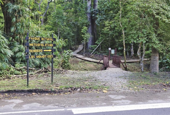 El Parque Natural Metropolitano es uno de los más importantes de la ciudad. El Parque Natural Metropolitano es uno de los más importantes de la ciudad.
