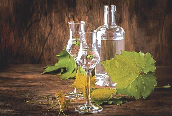 El pisco se puede degustar solo. Es una bebida cristalina, que aunque tiene más de 40 grados de alcohol 'no agrede la nariz y en la garganta pasa como terciopelo'. El pisco se puede degustar solo. Es una bebida cristalina, que aunque tiene más de 40 grados de alcohol 'no agrede la nariz y en la garganta pasa como terciopelo'.