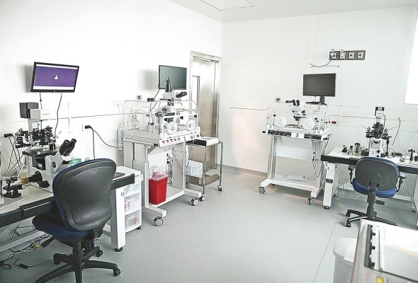 El laboratorio permite a las mujeres convertirse en madres por medio de la fecundación 'in vitro' El laboratorio permite a las mujeres convertirse en madres por medio de la fecundación 'in vitro'