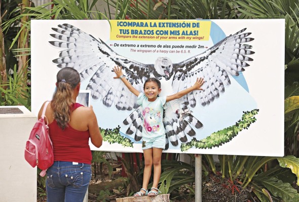 Este año el Parque Municipal Summit realizará varias actividades por su centenario, entre ellas el 'Festiharpía'. Este año el Parque Municipal Summit realizará varias actividades por su centenario, entre ellas el 'Festiharpía'.