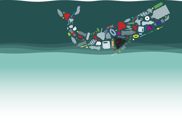 Contaminación por plástico: un desafío ambiental para gobiernos y empresas Contaminación por plástico: un desafío ambiental para gobiernos y empresas