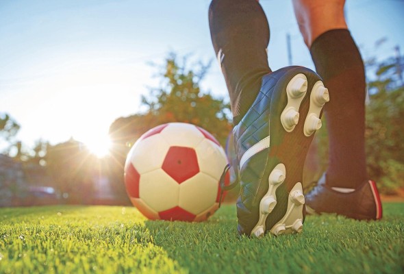 La encuesta realizada por Afutpa recalcó que solo el 6% de los jugadores de primera división ha llegado a la etapa de estudios superiores. La encuesta realizada por Afutpa recalcó que solo el 6% de los jugadores de primera división ha llegado a la etapa de estudios superiores.