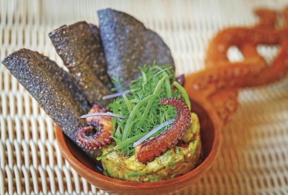 El maíz es esencial en la gastronomía de México. El maíz es esencial en la gastronomía de México.