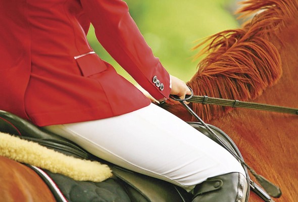 Tradicionalmente la carrera dedicada al primer mandatario de la nación panameña reúne a los mejores caballos. Tradicionalmente la carrera dedicada al primer mandatario de la nación panameña reúne a los mejores caballos.