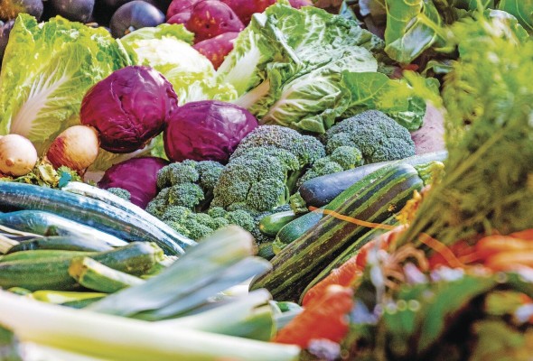 Los alimentos son vitales para el ser humano, por lo que es importante buscar estrategias para garantizar el abastecimiento y correcto acceso de las poblaciones. Los alimentos son vitales para el ser humano, por lo que es importante buscar estrategias para garantizar el abastecimiento y correcto acceso de las poblaciones.