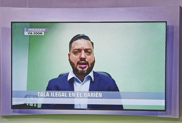 'Cualquier madera que no cuente con un chip de Miambiente, es ilegal' 'Cualquier madera que no cuente con un chip de Miambiente, es ilegal'