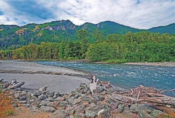 A través de las mediciones científicas en el río Elwha durante el proceso de restauración y evaluación se analiza su estado ecológico, y a través de las líneas base de su estado al inicio del proyecto de restauración, se ha desarrollado un marco ecológico sobre el cual se pueden caracterizar las condiciones existentes y los cambios futuros. A través de las mediciones científicas en el río Elwha durante el proceso de restauración y evaluación se analiza su estado ecológico, y a través de las líneas base de su estado al inicio del proyecto de restauración, se ha desarrollado un marco ecológico sobre el cual se pueden caracterizar las condiciones existentes y los cambios futuros.