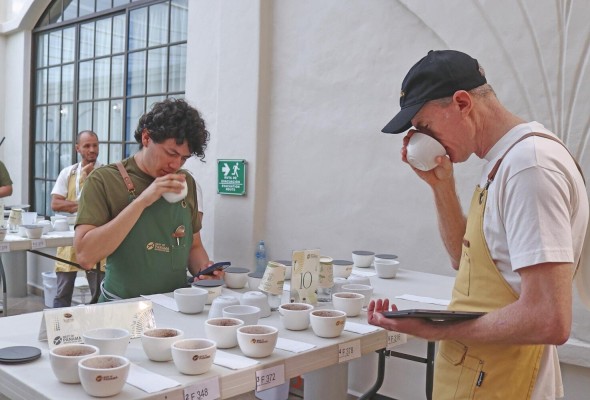 En la cata de cinco días, los jueces evaluaron 186 muestras de cafés especiales. En la cata de cinco días, los jueces evaluaron 186 muestras de cafés especiales.