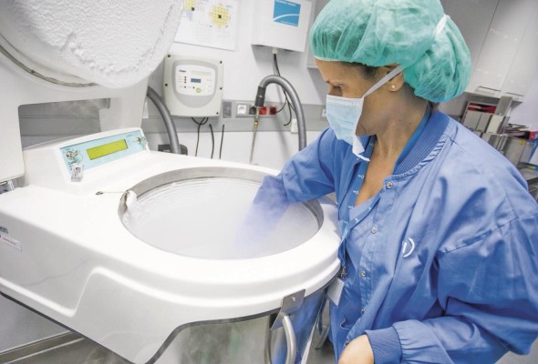 En Panamá las técnicas de fertilización se han desarrollado con éxito desde sus inicios. En Panamá las técnicas de fertilización se han desarrollado con éxito desde sus inicios.