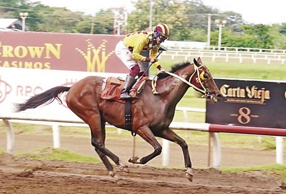 El ejemplar 'El Gran General' acercándose a la meta, para ganar El ejemplar 'El Gran General' acercándose a la meta, para ganar