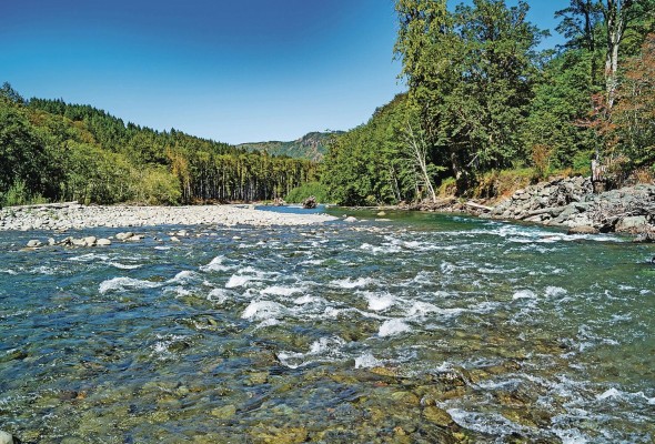 El río Elwha tiene una extensión en su cauce principal de 72 km en la península Olímpica en el estado estadounidense de Washington. El río Elwha tiene una extensión en su cauce principal de 72 km en la península Olímpica en el estado estadounidense de Washington.