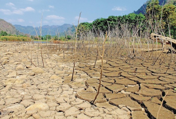 La ciencia ha demostrado que los esfuerzos mancomunados darán resultados antes de que sea irreversible el impacto medioambietal. La ciencia ha demostrado que los esfuerzos mancomunados darán resultados antes de que sea irreversible el impacto medioambietal.