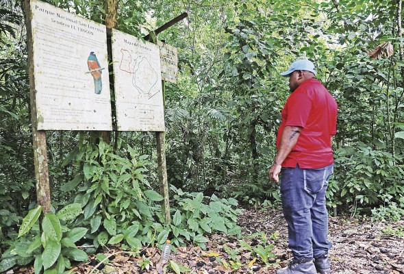 Los guías realizan expediciones por el camino de Achiote. Los guías realizan expediciones por el camino de Achiote.