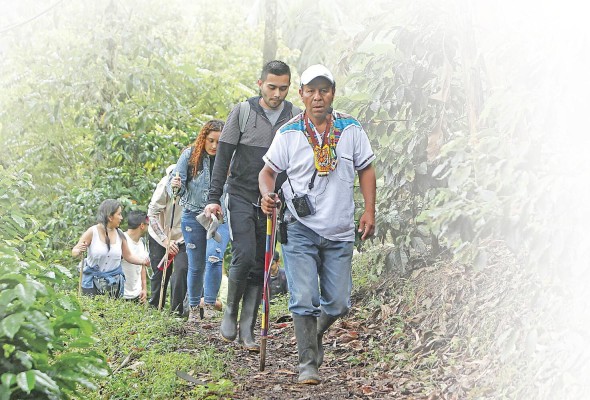 Un miembro de la comunidad Emberá Chamí cuando guía a un grupo de turistas en el resguardo Karmata Rúa. Un miembro de la comunidad Emberá Chamí cuando guía a un grupo de turistas en el resguardo Karmata Rúa.