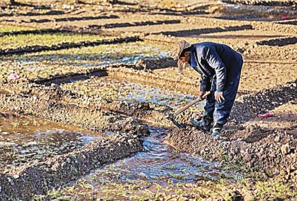 La FAO trabaja para promover planteamientos coherentes en relación con la gestión sostenible del suelo, la tierra y el agua. La FAO trabaja para promover planteamientos coherentes en relación con la gestión sostenible del suelo, la tierra y el agua.