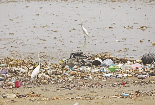 Uno de los principales problemas que enfrentan los océanos es la contaminación. Uno de los principales problemas que enfrentan los océanos es la contaminación.