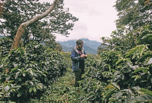 'Panamá, para ser un país tan chico, cuenta con una gran diversidad de cafés y de muy buena calidad', asegura Bemúdez. 'Panamá, para ser un país tan chico, cuenta con una gran diversidad de cafés y de muy buena calidad', asegura Bemúdez.