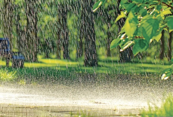 El termino lluvia, según la Real Academia de la Lengua Española, viene del latín pluvia que significa acción de llover El termino lluvia, según la Real Academia de la Lengua Española, viene del latín pluvia que significa acción de llover