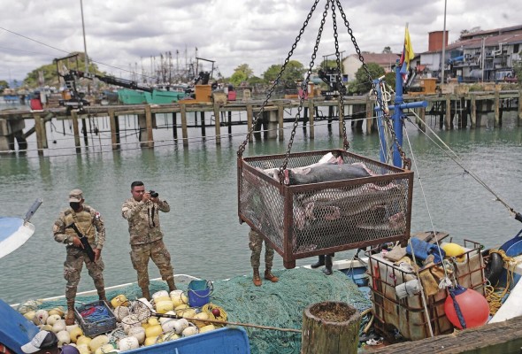 El país cuenta con una herramienta satelital de vanguardia que permite dar seguimiento a más de 500 embarcaciones que ejercen la actividad de pesca en aguas panameñas. El país cuenta con una herramienta satelital de vanguardia que permite dar seguimiento a más de 500 embarcaciones que ejercen la actividad de pesca en aguas panameñas.