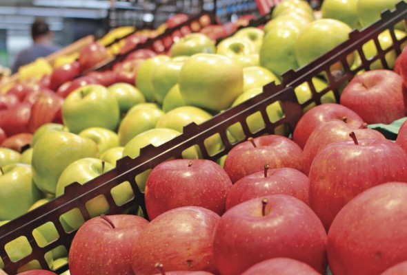 La desinfección de los alimentos es crucial para evitar el contagio. La desinfección de los alimentos es crucial para evitar el contagio.
