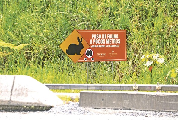 Letreros para advertir sobre el paso de animales. Letreros para advertir sobre el paso de animales.