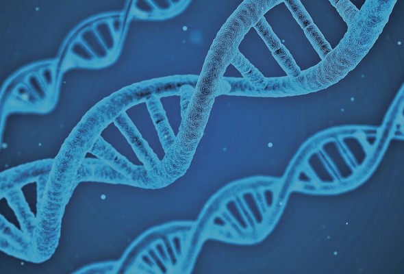 Este enfoque innovador se diferencia de los tratamientos farmacológicos tradicionales contra el cáncer Este enfoque innovador se diferencia de los tratamientos farmacológicos tradicionales contra el cáncer
