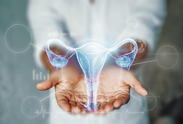 Según los expertos, la obesidad tiene claros efectos en la dinámica sexual. Según los expertos, la obesidad tiene claros efectos en la dinámica sexual.