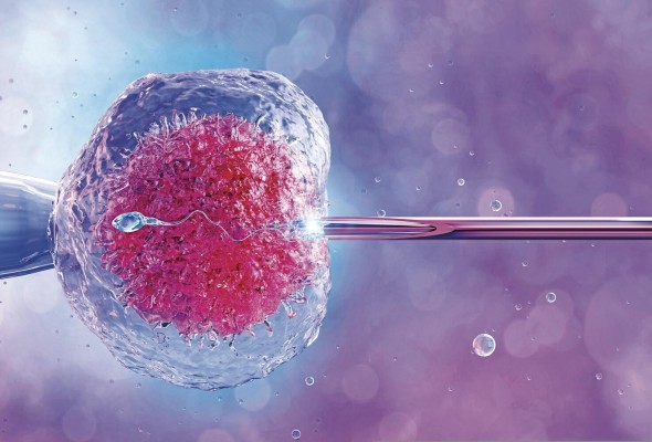Una mujer con 18 años tiene un 86% de fertilidad y según va avanzando el tiempo y llega a los 42, únicamente tiene un 36%. Una mujer con 18 años tiene un 86% de fertilidad y según va avanzando el tiempo y llega a los 42, únicamente tiene un 36%.