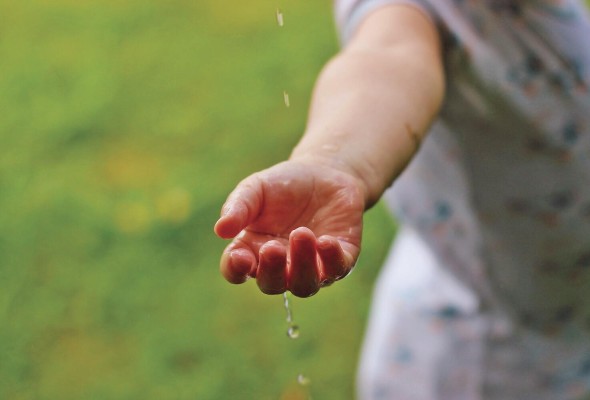 En todos los proyectos se ha beneficiado a cerca de 1,900 panameños. En todos los proyectos se ha beneficiado a cerca de 1,900 panameños.