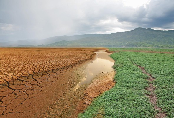 El sistema de mercado en su funcionamiento ha rebasado las capacidades adaptativas y regenerativas del espacio natural. El sistema de mercado en su funcionamiento ha rebasado las capacidades adaptativas y regenerativas del espacio natural.