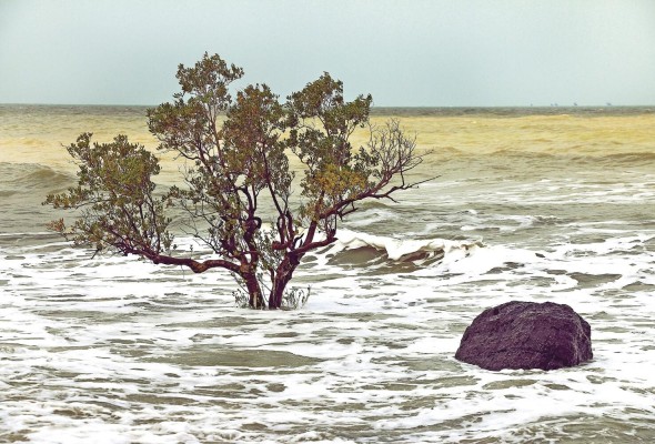 La inundación de tierras bajas y desplazamientos de humedales, son unas de las consecuencias del cambio climático. La inundación de tierras bajas y desplazamientos de humedales, son unas de las consecuencias del cambio climático.