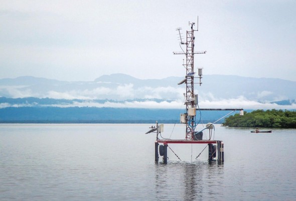 La plataforma de investigación en la estación de STRI en Bocas, donde se desplegaron los microplásticos. La plataforma de investigación en la estación de STRI en Bocas, donde se desplegaron los microplásticos.