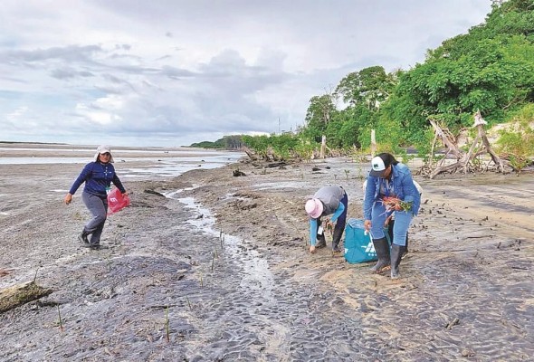 La conservación de los humedales es crucial para la vida en la Tierra. La conservación de los humedales es crucial para la vida en la Tierra.