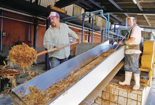 Nueva bebida reúne lo mejor del mezcal y el tequila con procesos ancestrales Nueva bebida reúne lo mejor del mezcal y el tequila con procesos ancestrales