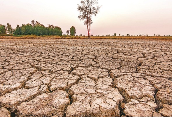 El Niño es un fenómeno natural caracterizado por el calentamiento anormal de la temperatura superficial del mar. El Niño es un fenómeno natural caracterizado por el calentamiento anormal de la temperatura superficial del mar.