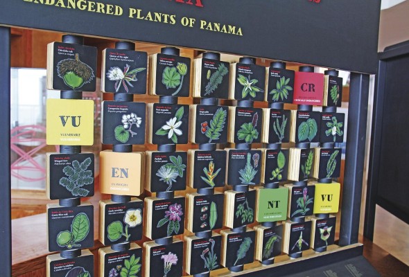 'Extinción', la nueva exhibición itinerante del Biomuseo 'Extinción', la nueva exhibición itinerante del Biomuseo