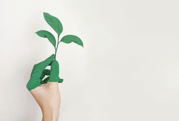 Por otra parte, las empresas también han innovado y se han descubierto nuevas materias primas más sostenibles. Por otra parte, las empresas también han innovado y se han descubierto nuevas materias primas más sostenibles.
