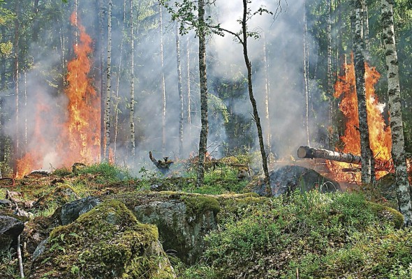 En Canadá, otro lugar de grandes incendios, ellos se transformaron en pocos días en un envenenamiento de la calidad del aire. En Canadá, otro lugar de grandes incendios, ellos se transformaron en pocos días en un envenenamiento de la calidad del aire.