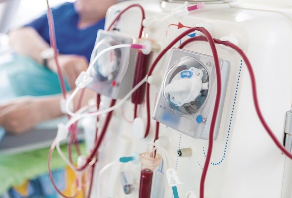 La enfermedad renal crónica desde la investigación científica y la prevención La enfermedad renal crónica desde la investigación científica y la prevención