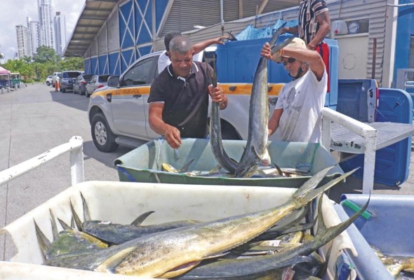 La lucha contra la pesca ilegal, no declarada y no reglamentada forma parte de los Objetivos de Desarrollo Sostenible, establecidos por las Naciones Unidas. Panamá refuerza acciones contra esta batalla. La lucha contra la pesca ilegal, no declarada y no reglamentada forma parte de los Objetivos de Desarrollo Sostenible, establecidos por las Naciones Unidas. Panamá refuerza acciones contra esta batalla.