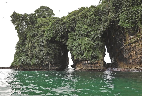 En isla Pájaros podrá ver la llamativa ave tropical “rabijunco. Piquirojo”. En isla Pájaros podrá ver la llamativa ave tropical “rabijunco. Piquirojo”.