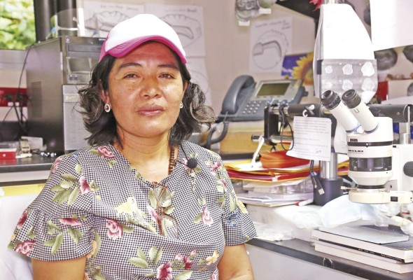 Brígida De Gracia Taylor, técnica en investigación del STRI Brígida De Gracia Taylor, técnica en investigación del STRI