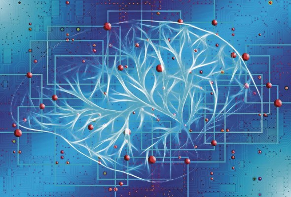 Un número significativo de pacientes hospitalizados tiene varios grados de deterioro cerebral. Un número significativo de pacientes hospitalizados tiene varios grados de deterioro cerebral.