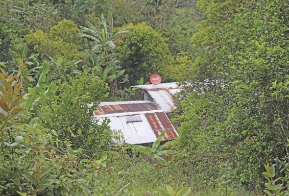 Vivir con energía eléctrica: una transformación para El Guayabo y El Filo Vivir con energía eléctrica: una transformación para El Guayabo y El Filo