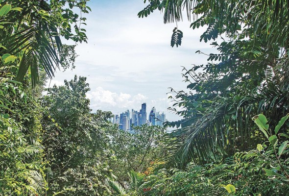 Se han identificado como sectores prioritarios para Panamá: la salud, la capacidad agroalimentaria, el cambio climático, la energía, la transformación digital y logística Se han identificado como sectores prioritarios para Panamá: la salud, la capacidad agroalimentaria, el cambio climático, la energía, la transformación digital y logística