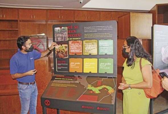 La exhibición está dedicada a las especies animales y vegetales que se encuentran amenazadas La exhibición está dedicada a las especies animales y vegetales que se encuentran amenazadas