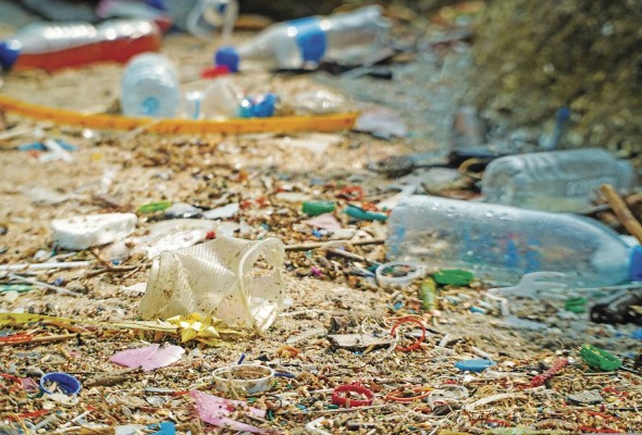 La contaminación de los suelos la ocasionan los productos químicos agrícolas. La contaminación de los suelos la ocasionan los productos químicos agrícolas.